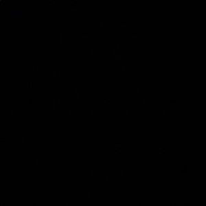 Meet your Posher, Liberty